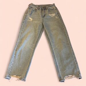 AE High Rise 90s Boyfriend Jeans 0xshort